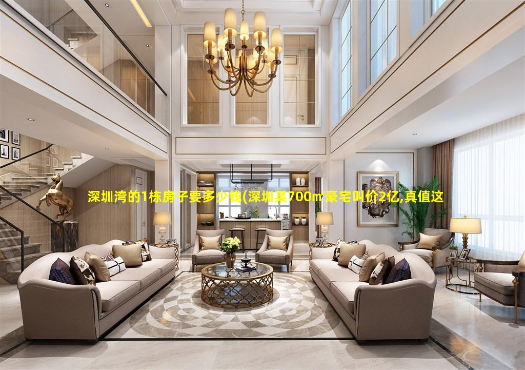 深圳湾的1栋房子要多少钱(深圳某700㎡豪宅叫价2亿,真值这个价吗)